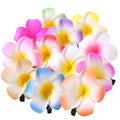 M&T Wear - 12pcs Hawaiian Plumeria Flower Hair Clips Set