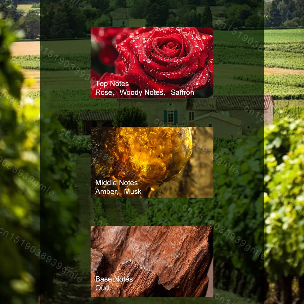 M&T Wear – Royal Oud Men’s Perfume 100ml